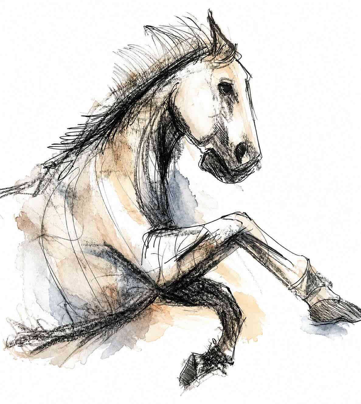 Présentation d’un stage de dessin